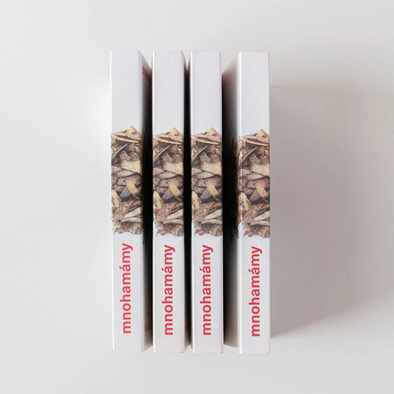 mnohamamy.cz | Kateřina Suchánková | Kniha o mnohočetném rodičovství, terapeut Transformační psychologie