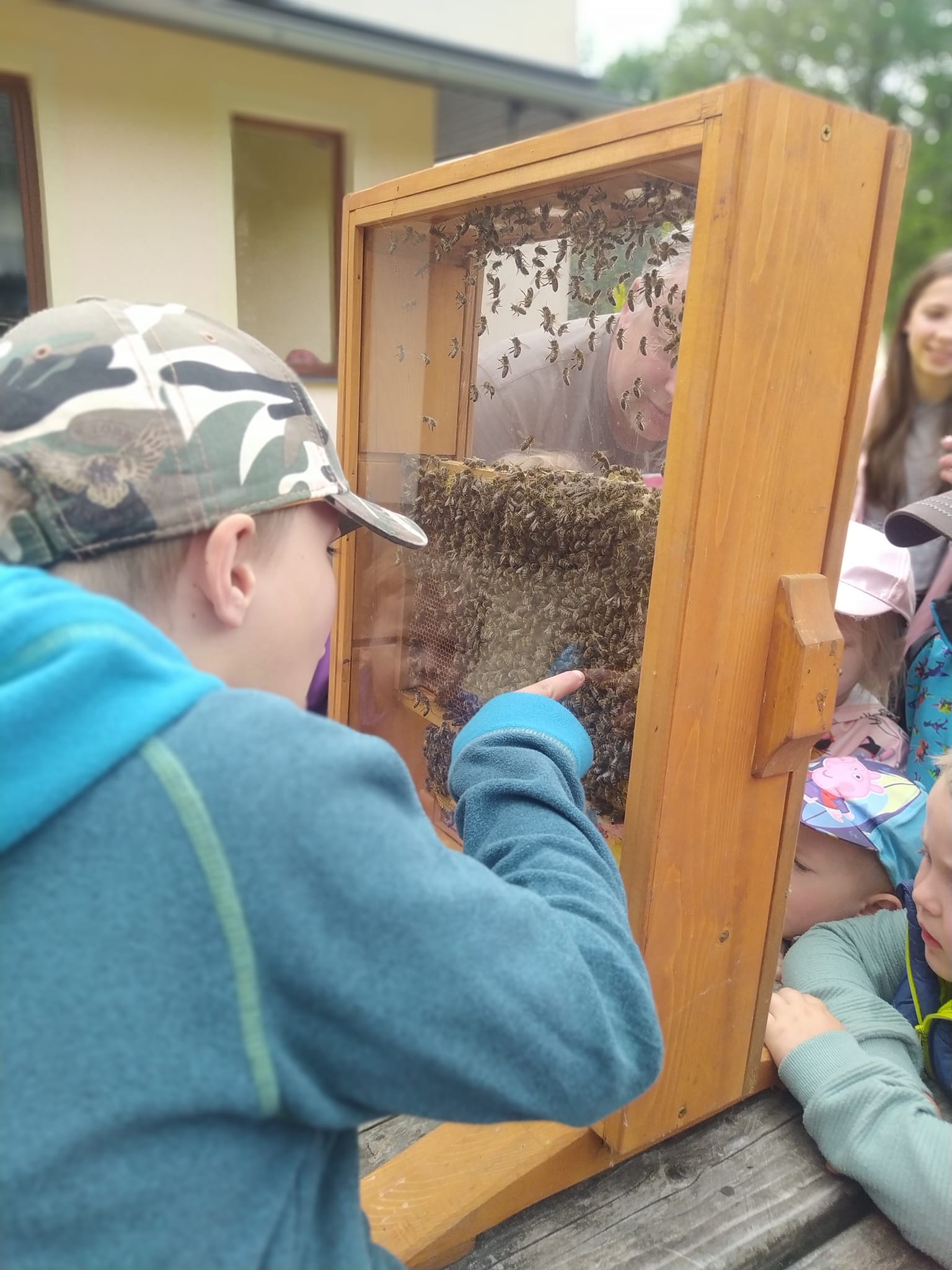 vcelarstvijindra.cz - e-shop a kamenná prodejna, včelařské potřeby, medomety, úly, léčivo pro včely, včelí produkty, ochucený med, medovina, včelí kosmetika, formy na svíčky, svíčky ze včelího vosku.