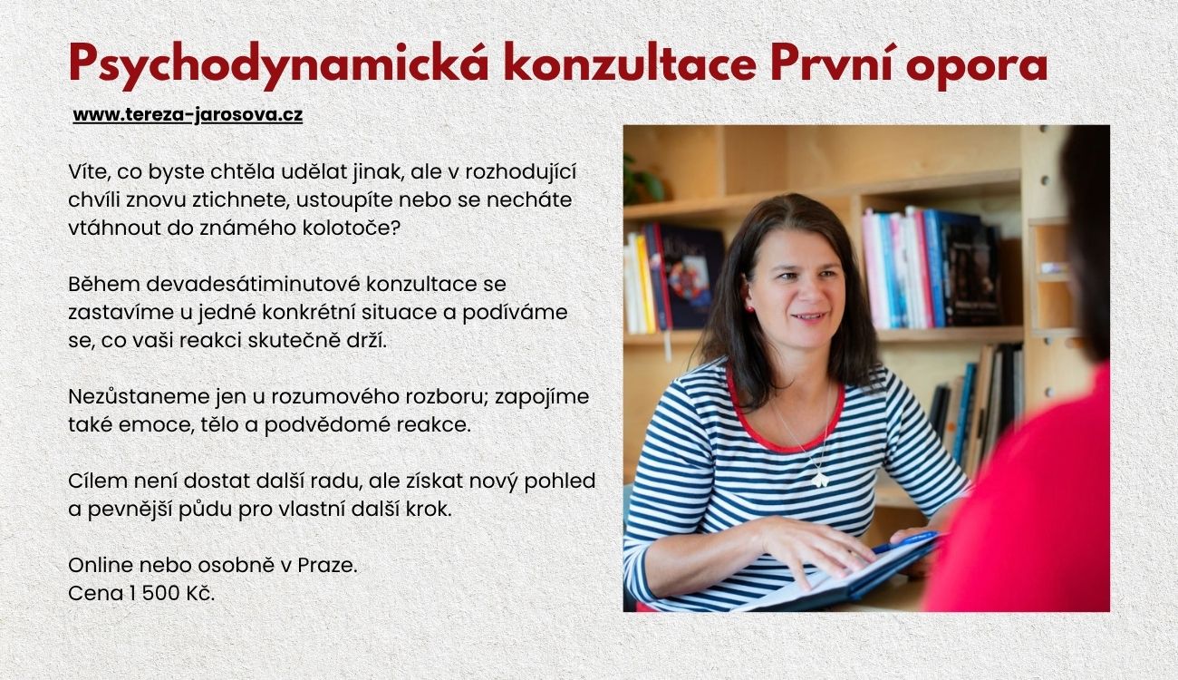 Tereza Jarošová: Ekopanenky, šití panenek, kurz šití panenek, online kurz šití panenek, videokurz šití panenek, waldorfské panenky, látkové panenky, střihy na panenky, návody na šití panenek, materiál na výrobu panenek, panenkářství, panenkářka, fyziopanenky, terapeutické panenky, výukové panenky, panenky pro fyzioterapeuty, psychodynamický koučink, psychodynamická koučka, koučink pro ženy, osobní rozvoj žen, opakující se vzorce, vztahové vzorce, práce s hranicemi, rozhodování, neuropraxe, koučink Praha, online koučink.